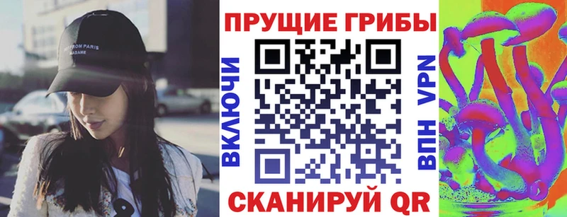 Псилоцибиновые грибы Psilocybe  Купить где  Серпухов 